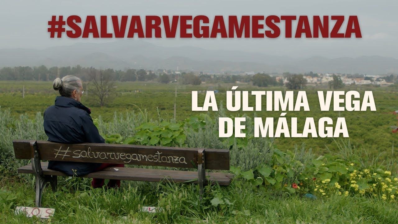 Salvemos Vega Mestanza