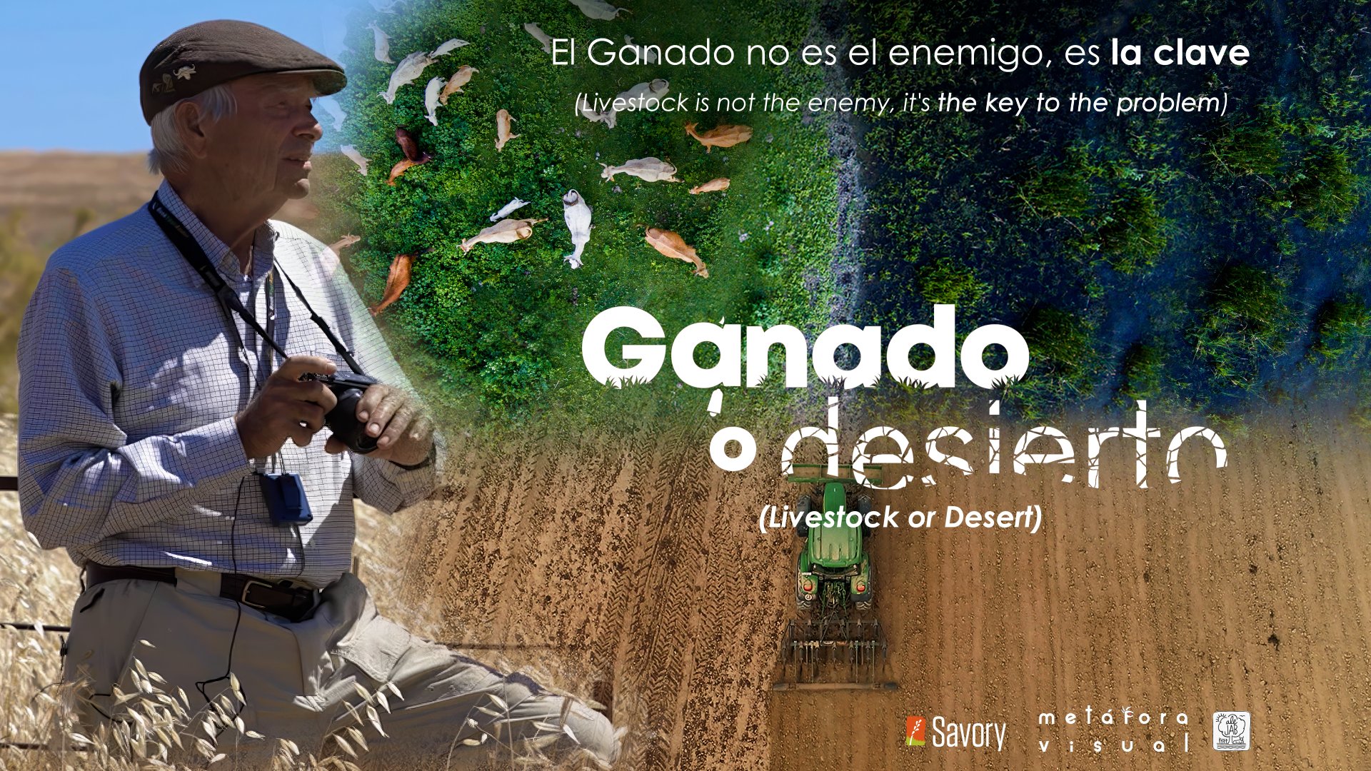 Ganado o Desierto
