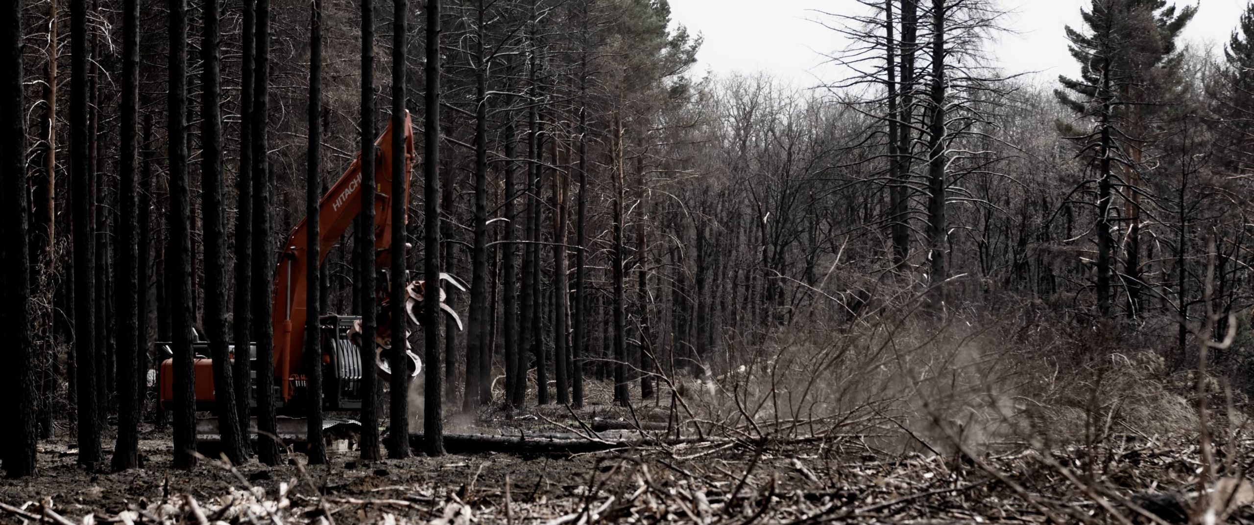 LADRONES DE FUEGO - TRAILER - foto 1