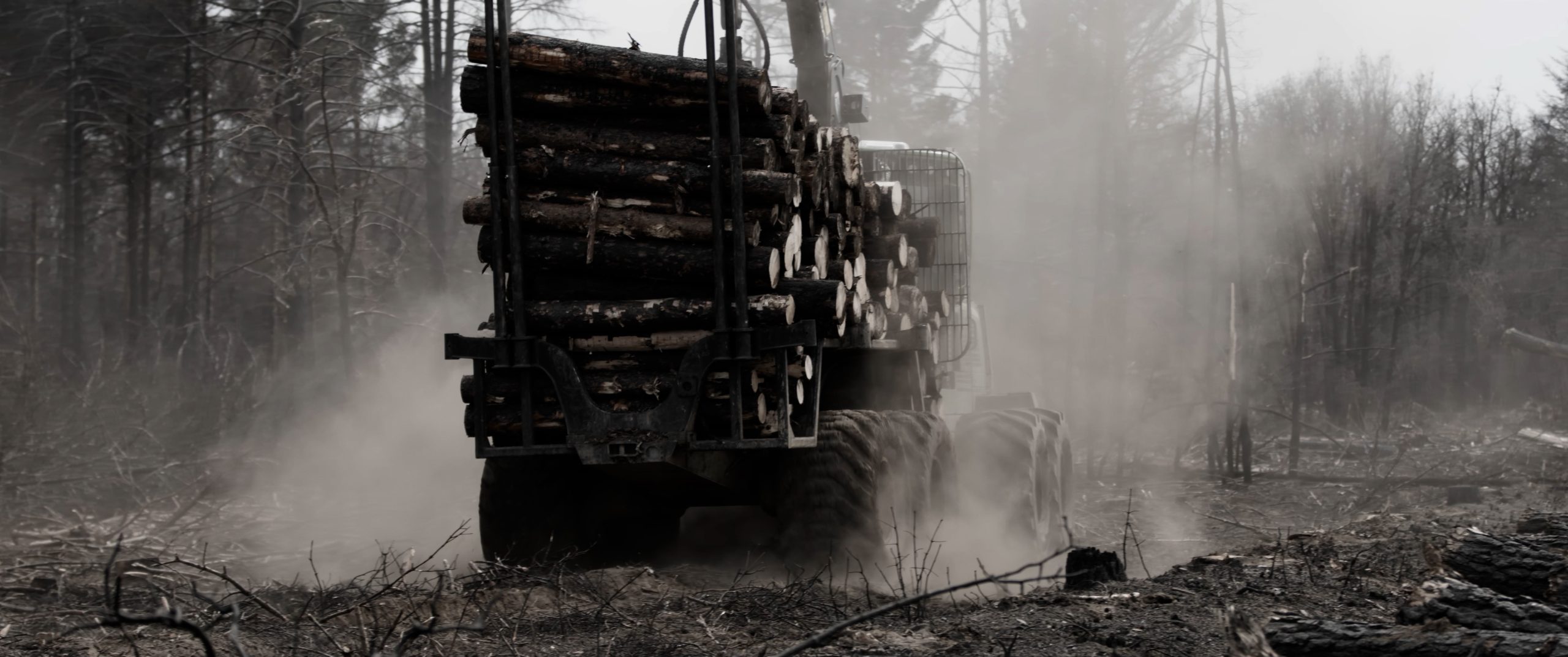 LADRONES DE FUEGO - TRAILER - foto 8