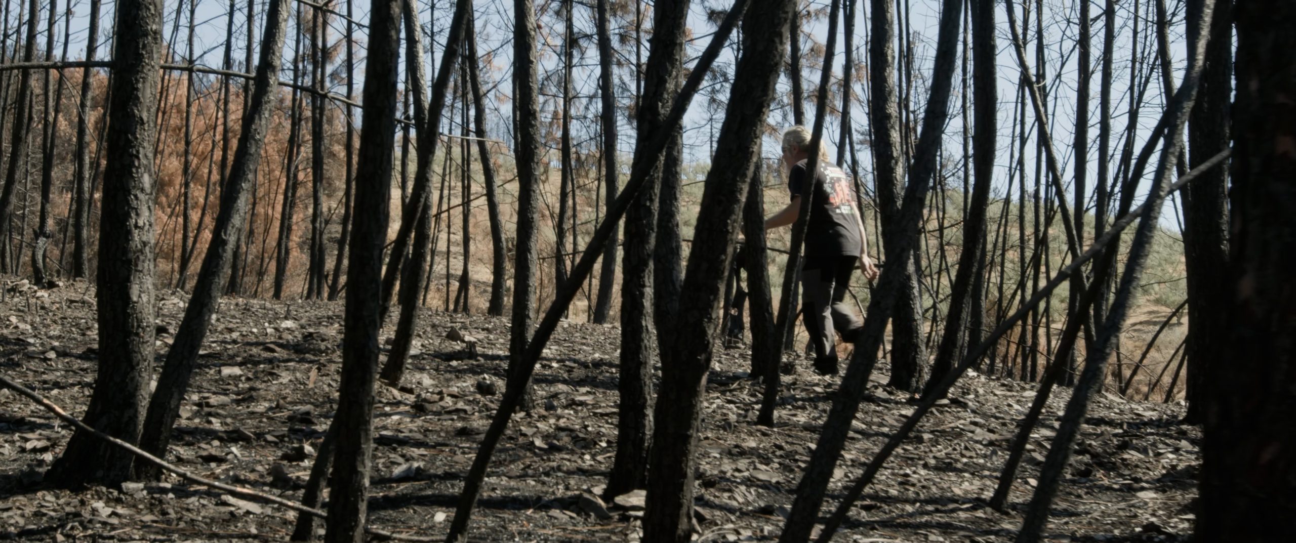 LADRONES DE FUEGO - TRAILER - foto 2